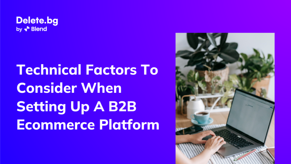 Technical Factors To Consider When Setting Up A B2B Ecommerce Platform