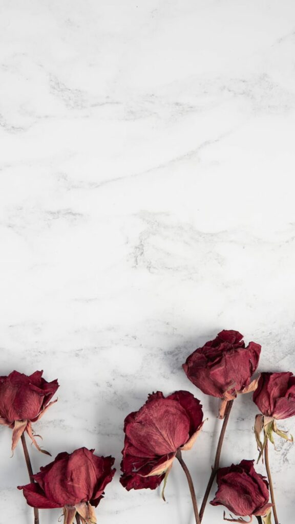 Fondo mármol blanco con rosas